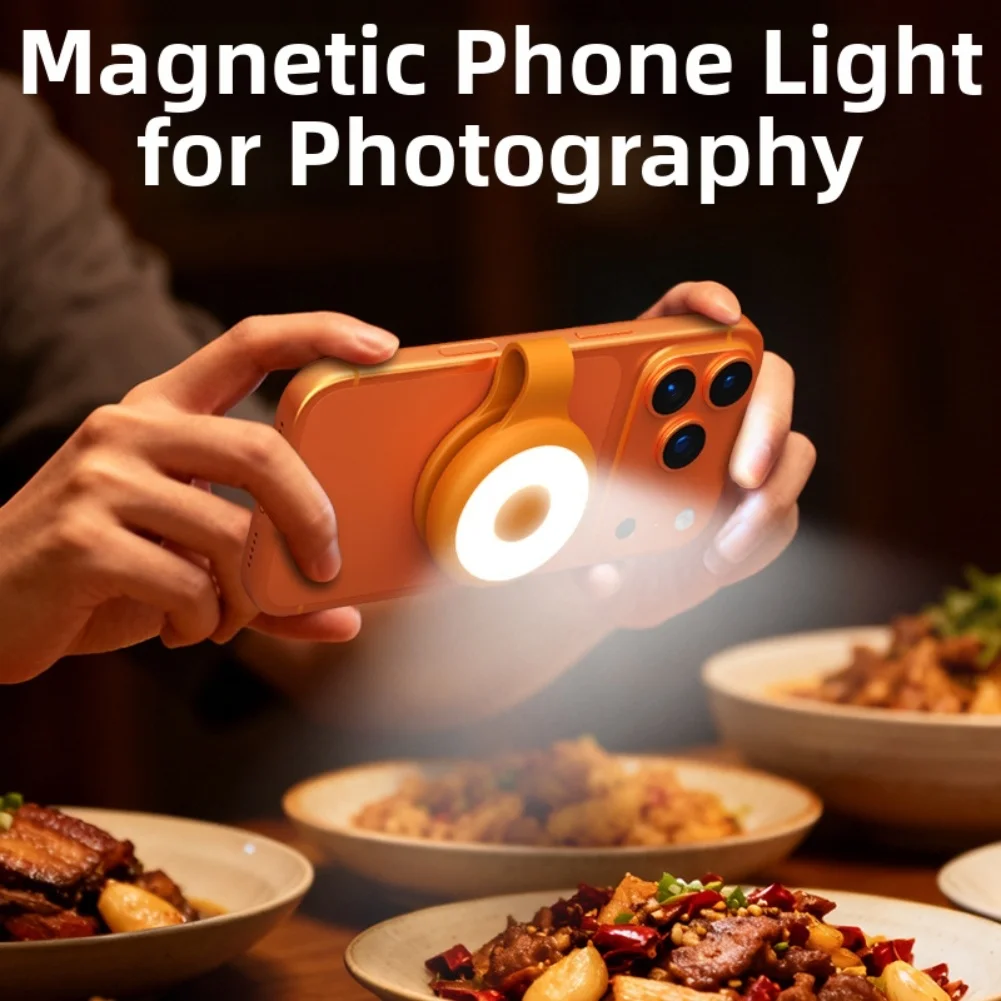 Luce di riempimento per telefo - Outdoor Lighting And Camera recensione e prezzo