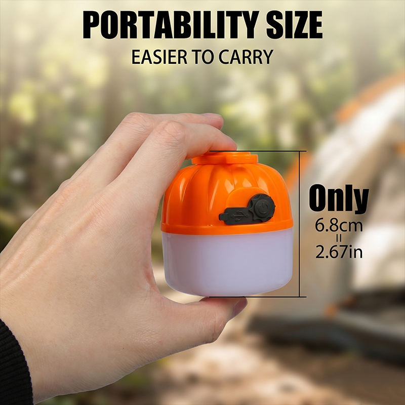 Mini Lampada LED Portatile a F - Outdoor Lighting Replacement Bulbs recensione e prezzo