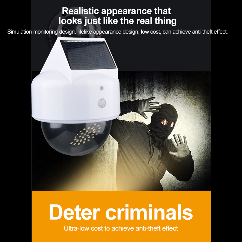 Telecamera di simulazione sola - Outdoor Lighting And Camera recensione e prezzo