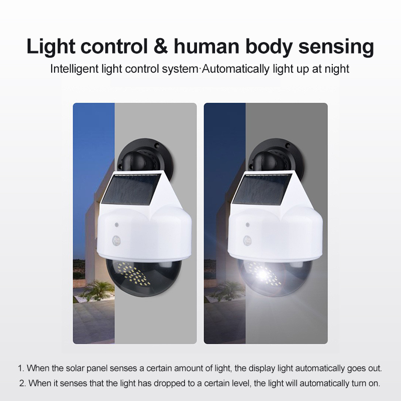 Telecamera di simulazione sola - Outdoor Lighting And Camera recensione e prezzo